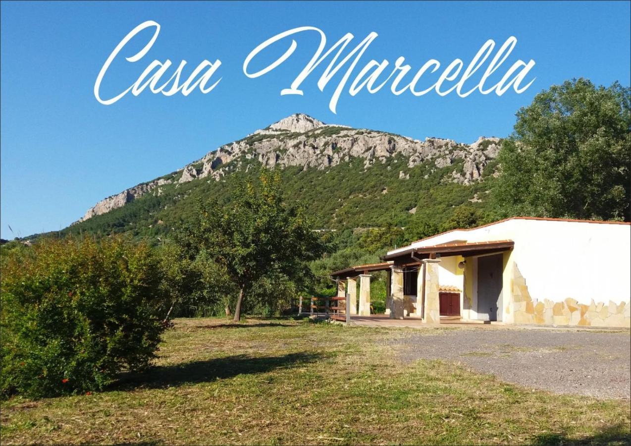 Casa Marcella Apartment Dorgali Exterior photo