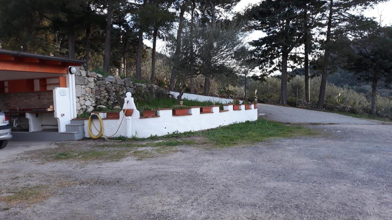 Casa Marcella Apartment Dorgali Exterior photo