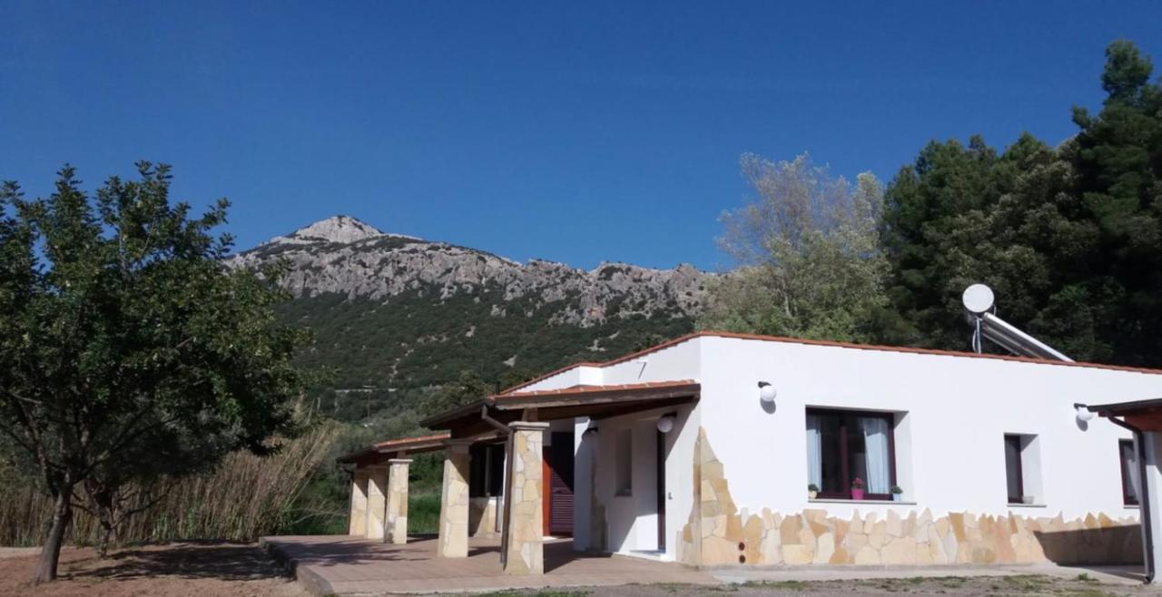 Casa Marcella Apartment Dorgali Exterior photo